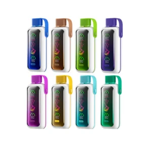 Startseite 67 Vozol Star 20000 Puffs